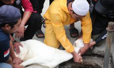 berita-pilihan-foto