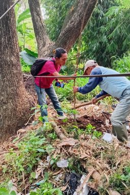 berita-rekomendasi-foto