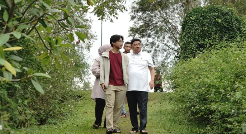 foto slider headline