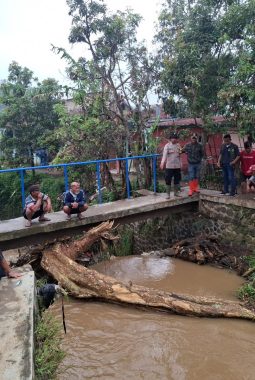 berita-rekomendasi-foto