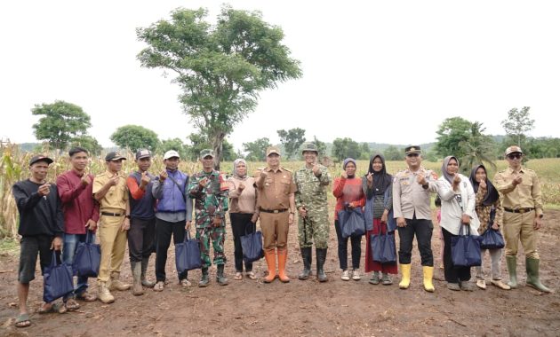 Panen Jagung 150 Hektare di Mekarmukti, Bupati Garut Dorong Jadi Percontohan Ketahanan Pangan