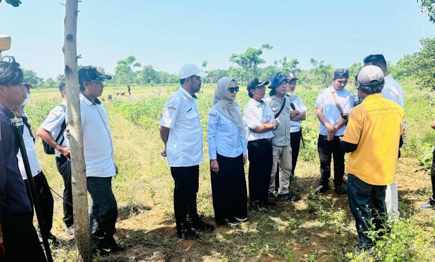 Garut Diproyeksikan Jadi Lokasi Sekolah Rakyat Permanen, Kemensos Tinjau Kesiapan Lahan