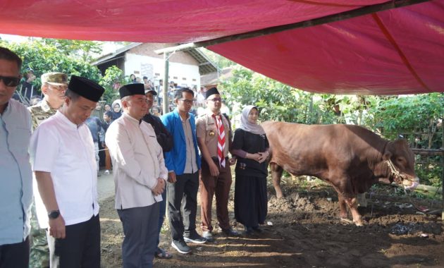 Warga Sindangsari Cigedug Terima Daging Kurban Bantuan Presiden, Bupati Garut Hadiri Penyerahan
