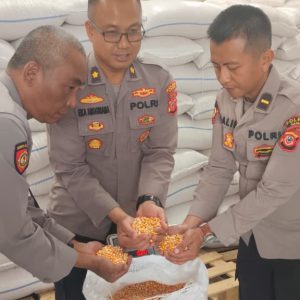 Panen 4 Ton Jagung, Polsek Pameungpeuk Perkuat Sinergi dengan Petani Dukung Ketahanan Pangan