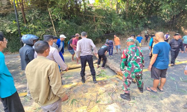 Jalur Bandung–Garut Kembali Lancar, Aparat dan Warga Sigap Singkirkan Pohon Tumbang