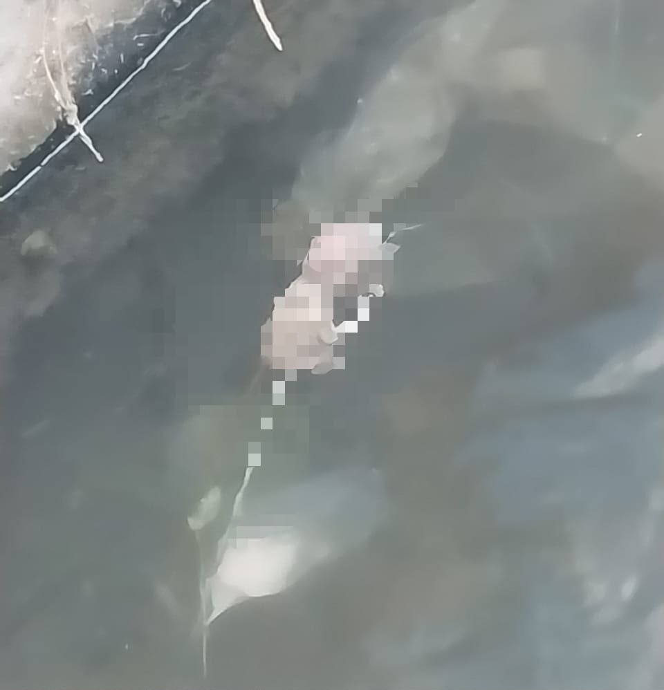 Polisi Selidiki Temuan Diduga Janin Bayi di Selokan Tarogong Kaler