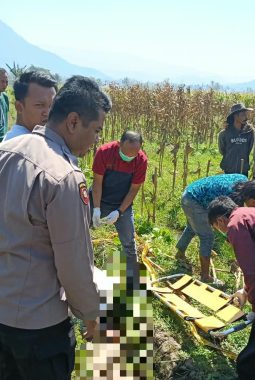 berita-rekomendasi-foto