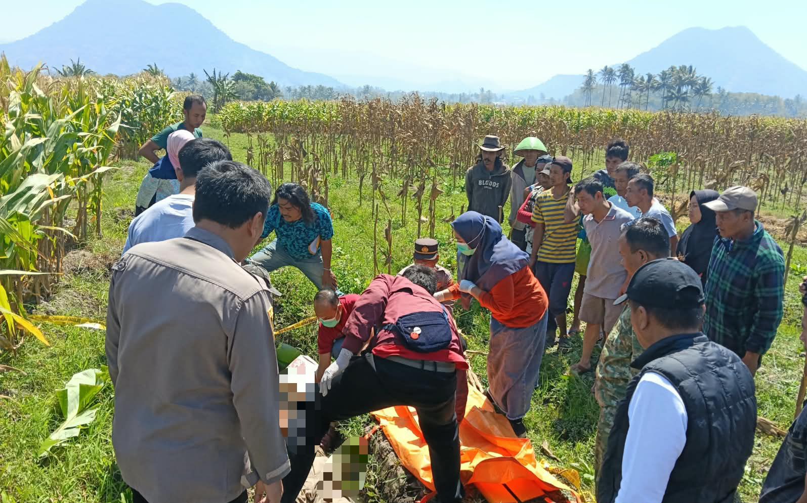 Perempuan Lansia Ditemukan Meninggal di Lahan Jagung Leles, Polisi Lakukan Pemeriksaan