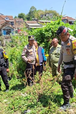 berita-rekomendasi-foto