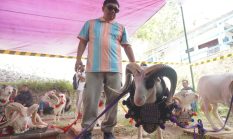 berita-pilihan-foto